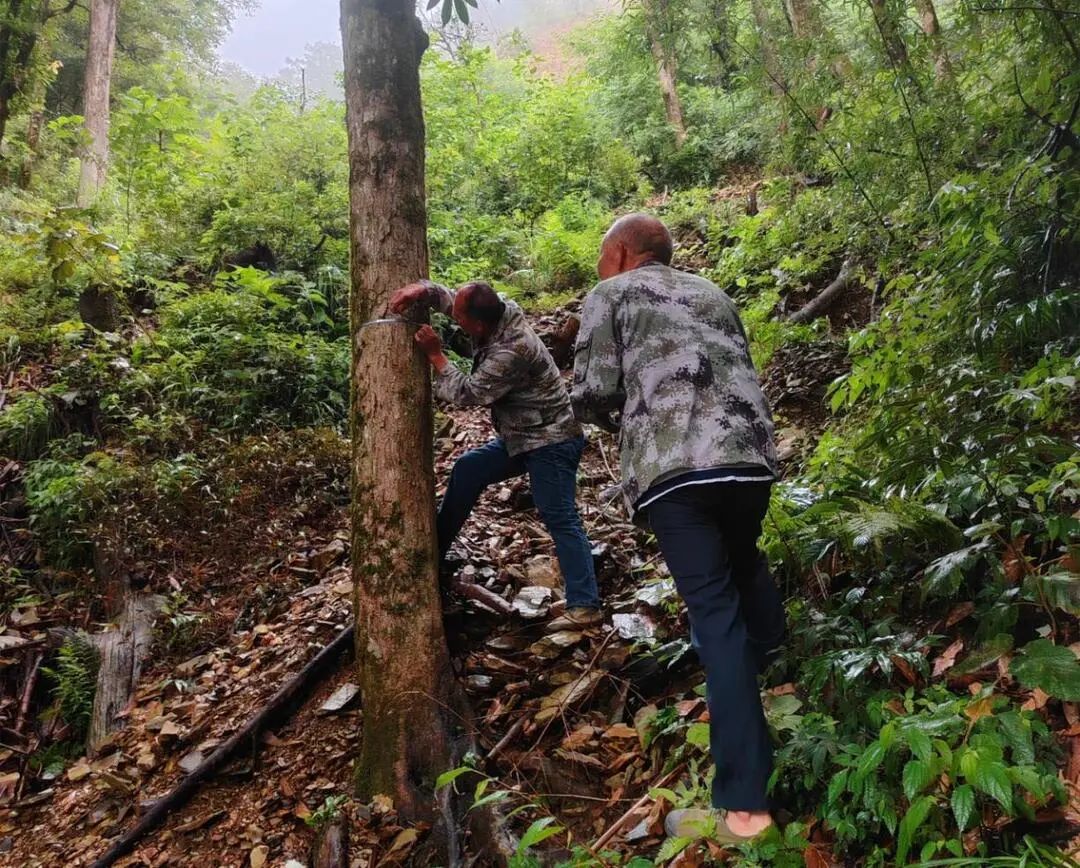 微信图片_2025-08-27_103758_627