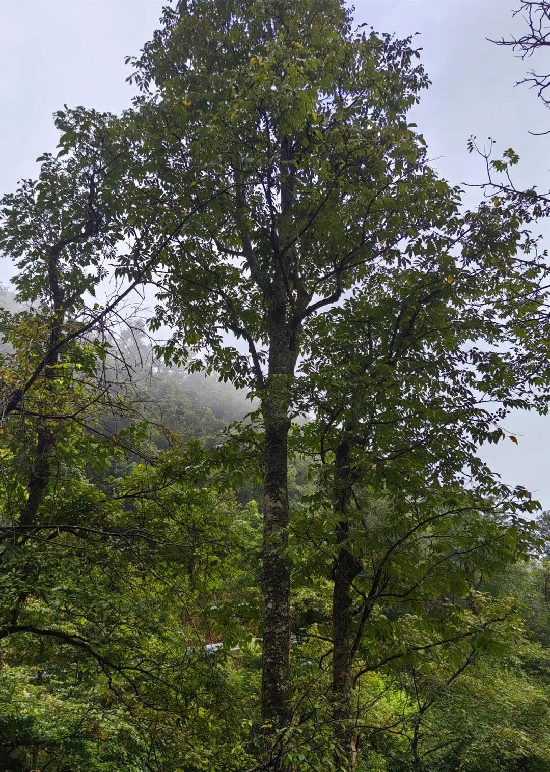 微信图片_2025-08-27_103808_307