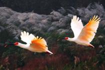 2025年秋季邵阳市《开学第一课》特别节目开“跑”