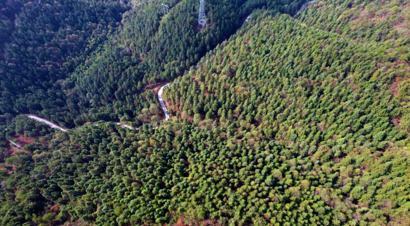 微信图片_2025-08-29_160238_899