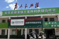 邵阳学院模拟政协协会：探访王家坪村供销合作社里的惠民密码