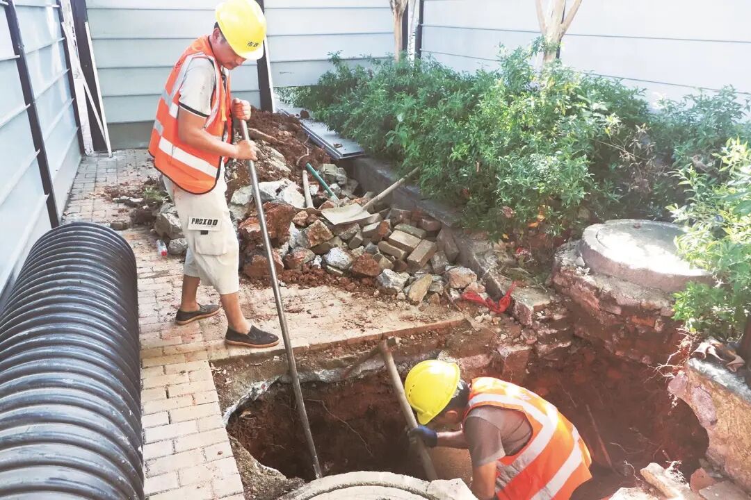 微信图片_2025-10-21_151019_989