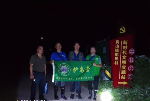 82f8c35db6062e8435c303b4f953ec19