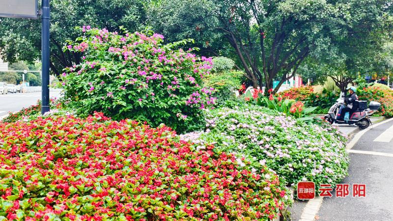 588afc55-2c5d-4c2b-aa02-0eb1f6aecaf1_l