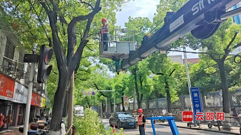 5de8ab50-b833-4b1b-93df-6338d4936c9d_l