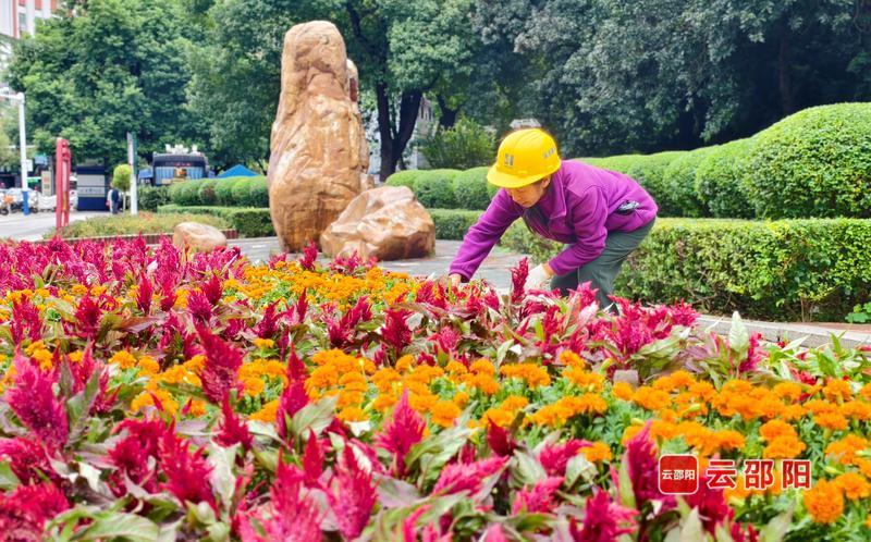 353ab4a0-5cdc-4442-bdaf-646e9b22c442_l