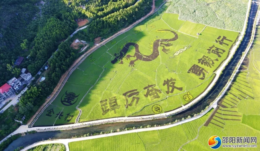 微信图片_2025-10-27_150620_623