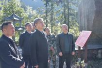严华在湖南舜皇山国家级自然保护区巡林