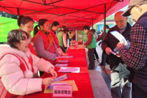 践行雷锋精神 培育文明新风 ——我市广泛开展“学雷锋·文明实践我行动”主题活动