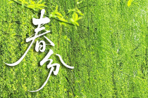 来邵阳，抓住这个春天！