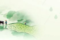 今日谷雨，一起播种文明~