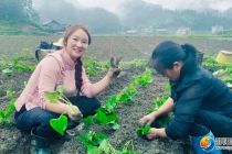 从摆摊打工到获全国殊荣，这位邵阳姑娘厉害了！