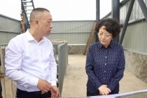树立和践行正确政绩观 | 程蓓调研督导历史遗留问题化解等工作